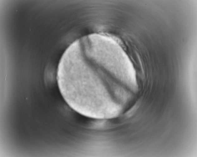 X0000088720090200706212028