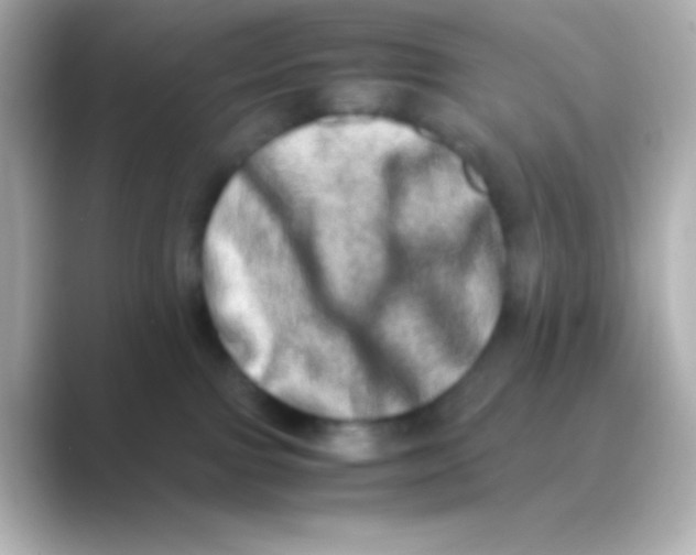 X0000088720091200706212028