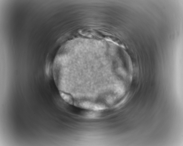 X0000088720094200706212028