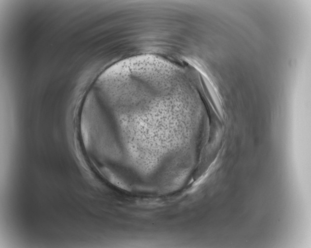 X0000088720097200706212028