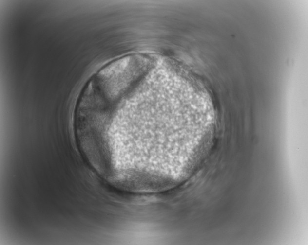 X0000088720099200706212028