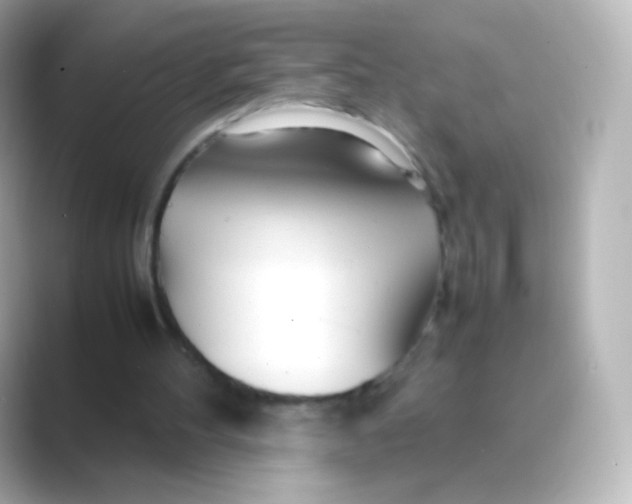 X0000088720100200706212028