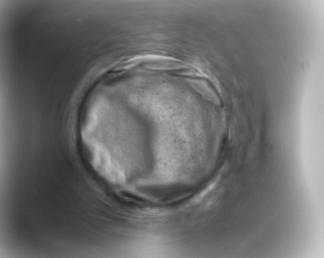 X0000088720101200706212028