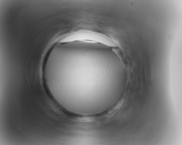 X0000088720102200706212028