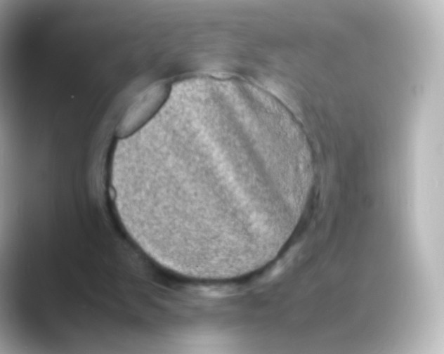 X0000088720103200706212028