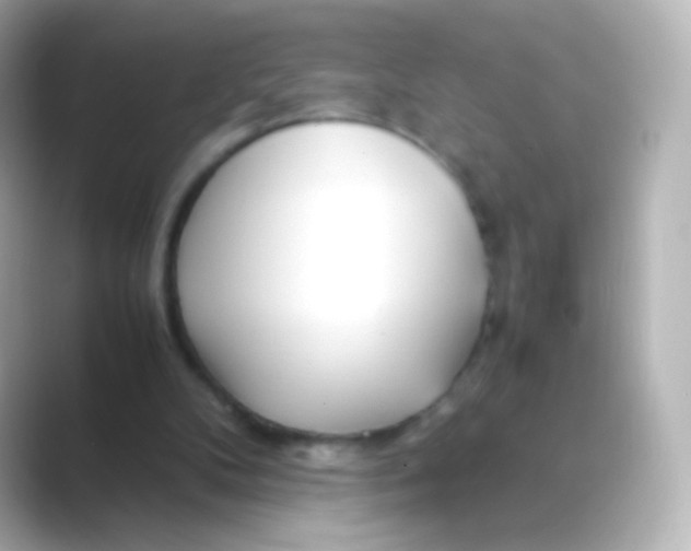 X0000088720104200706212028