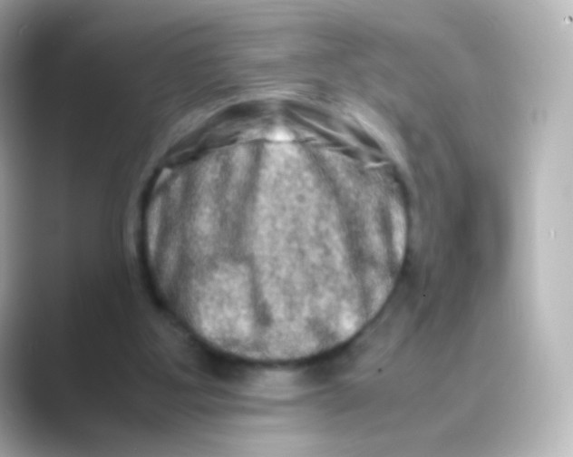 X0000088720107200706212028