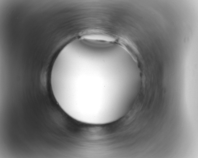 X0000088720108200706212028