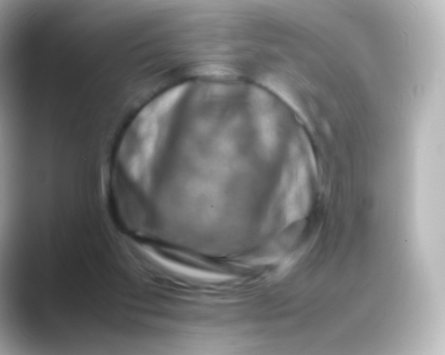 X0000088720109200706212028