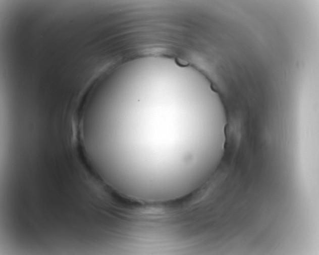 X0000088720110200706212028