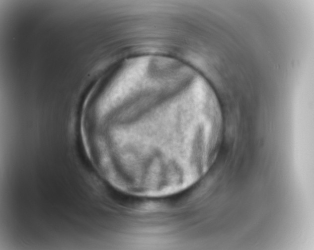 X0000088720111200706212028