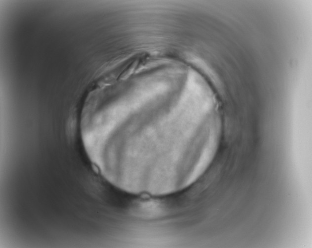 X0000088720113200706212027