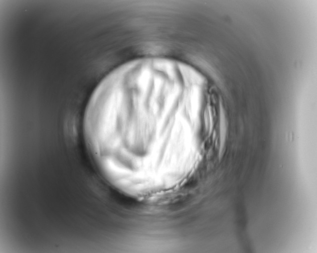 X0000088720115200706212027