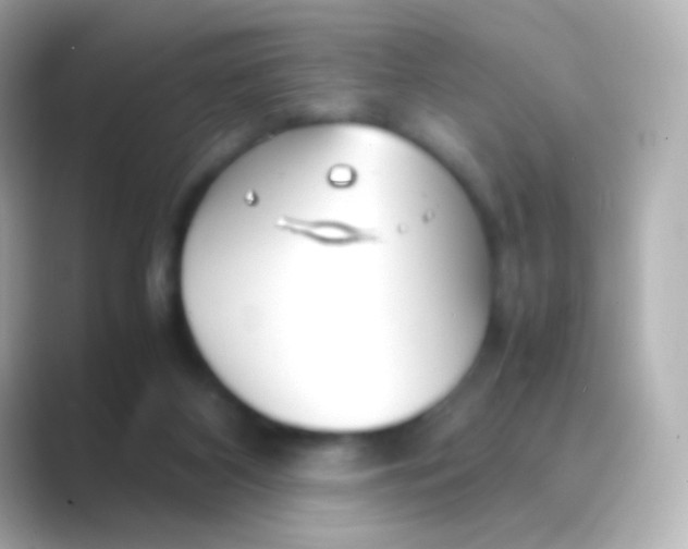 X0000088720116200706212027