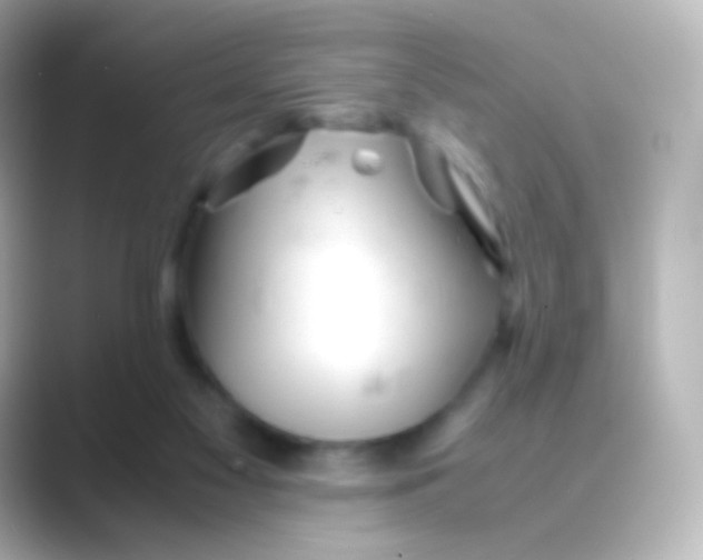 X0000088720117200706212027