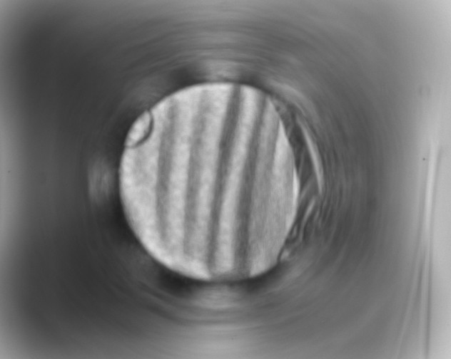 X0000088720123200706212027