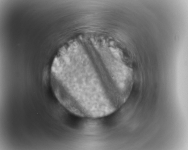 X0000088720127200706212027