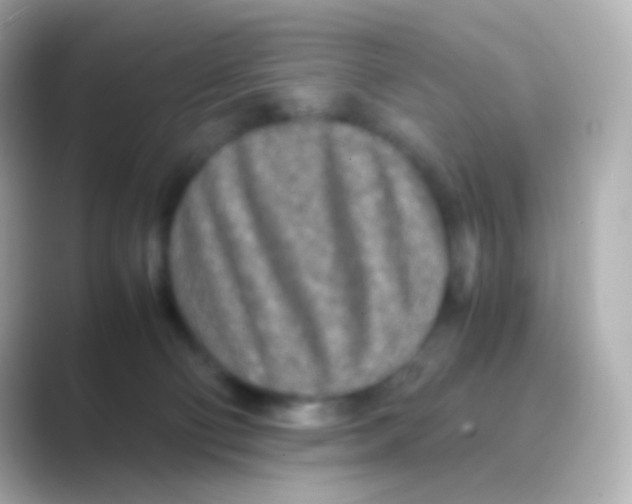 X0000088720130200706212027