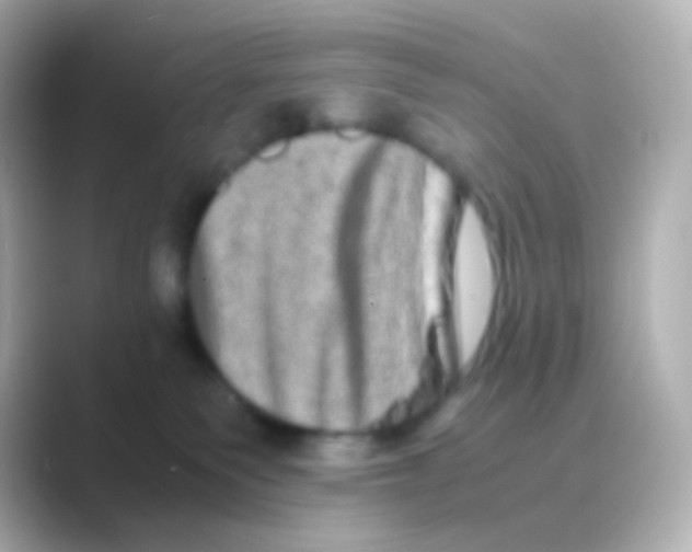 X0000088720135200706212027