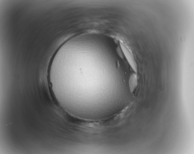 X0000088720147200706212027