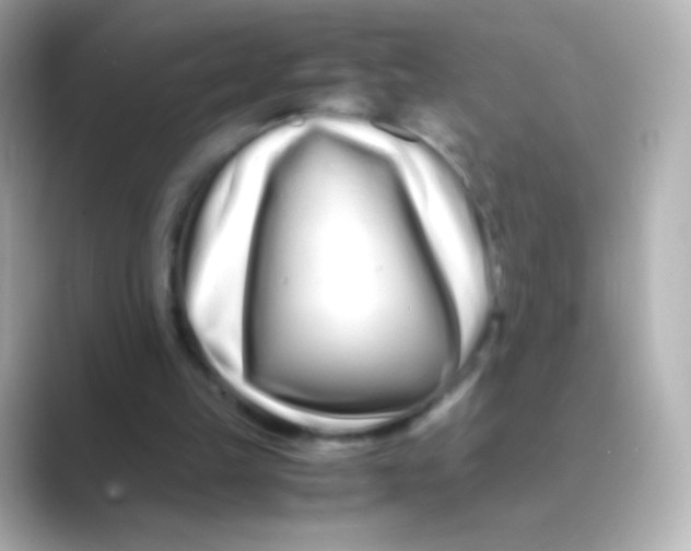 X0000088720149200706212027