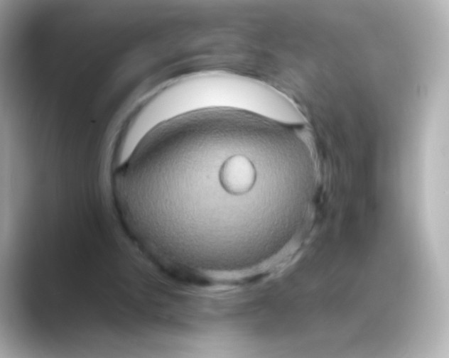 X0000088720150200706212027