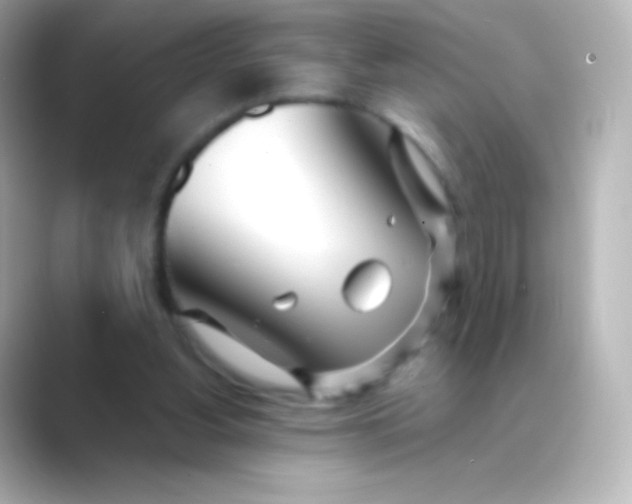 X0000088720156200706212027