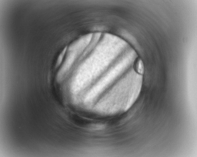 X0000088720161200706212027