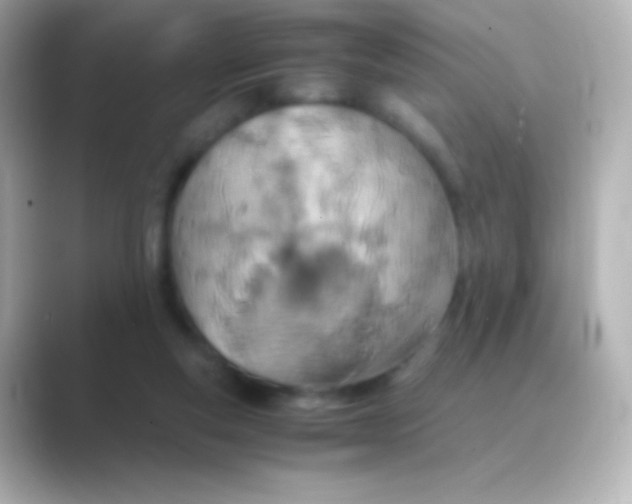 X0000088720163200706212027