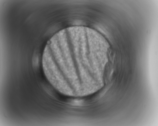 X0000088720165200706212027