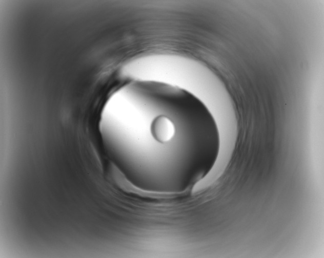 X0000088720168200706212027