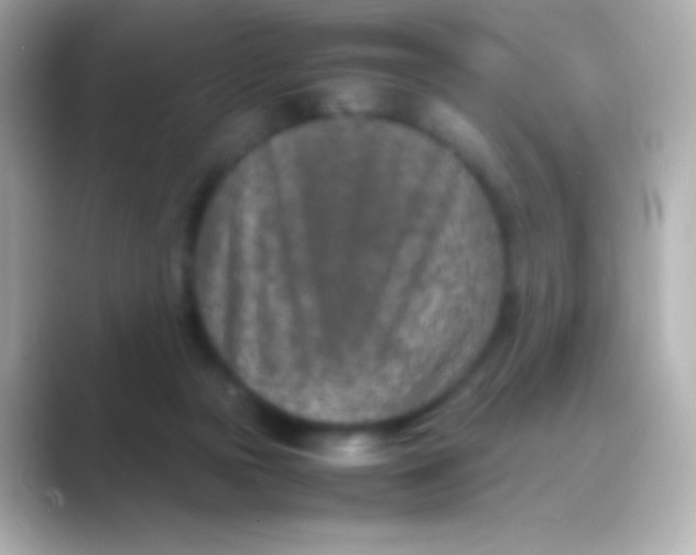 X0000088720169200706212027