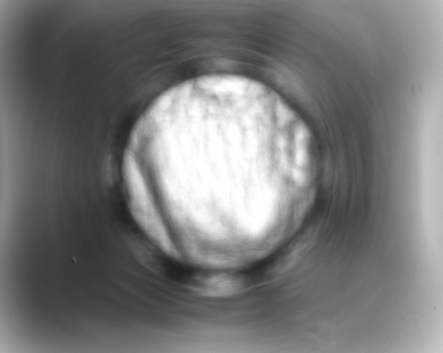 X0000088720173200706212027