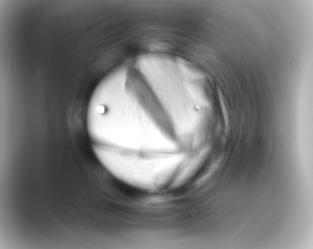 X0000088720175200706212027