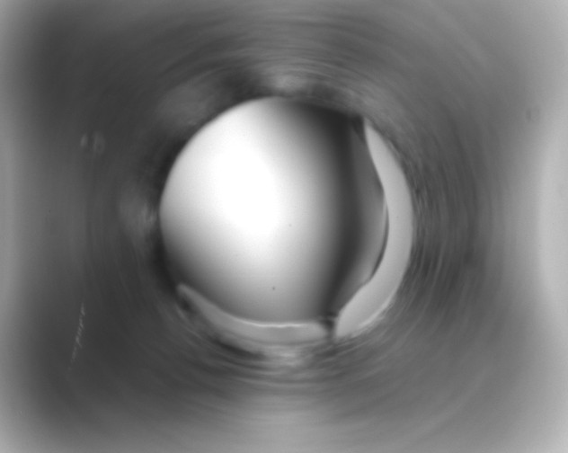 X0000088720176200706212027