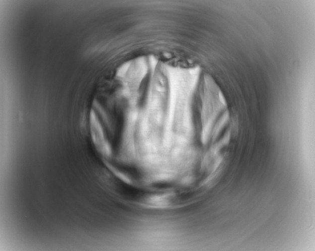 X0000088720178200706212027