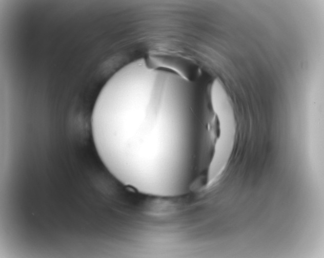 X0000088720180200706212027