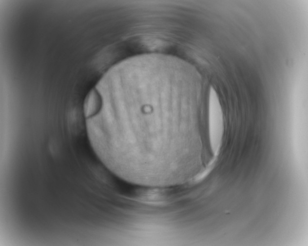 X0000088720182200706212027