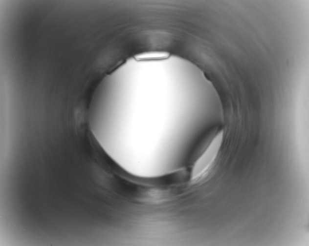 X0000088720184200706212027