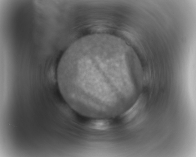 X0000088720187200706212027