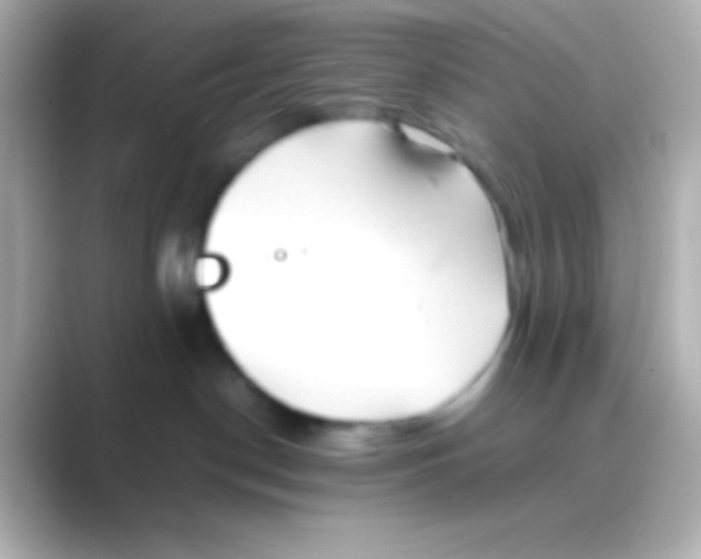 X0000088720190200706212027