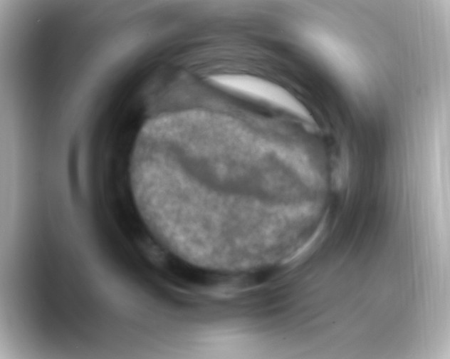 X0000088720191200706212027