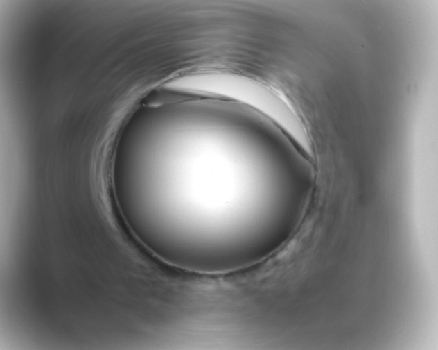 X0000088720193200706212027