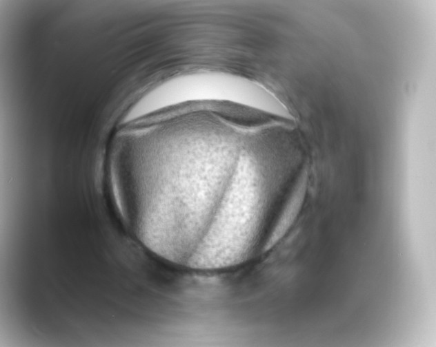 X0000088720194200706212027