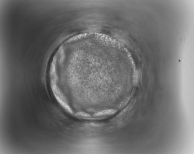 X0000088720195200706212027