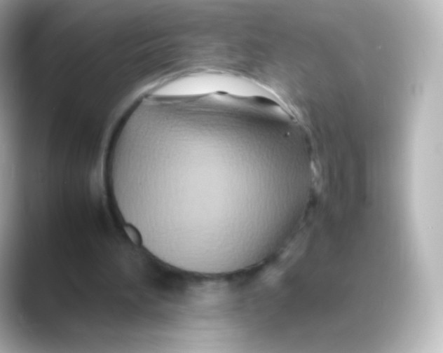 X0000088720196200706212027