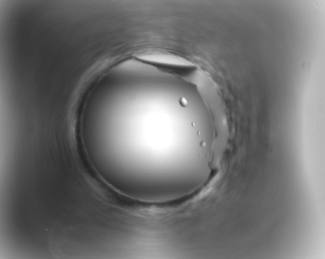 X0000088720197200706212027