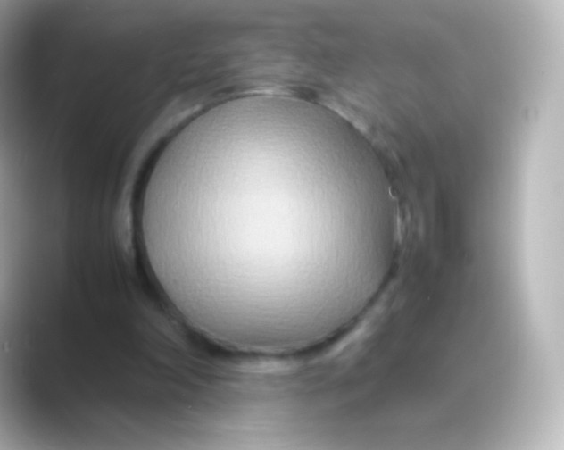 X0000088720198200706212026