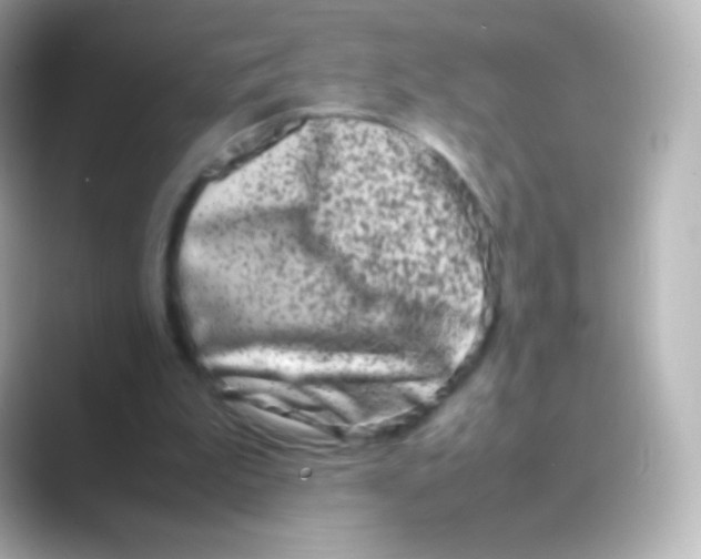 X0000088720199200706212026