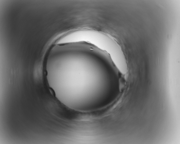 X0000088720200200706212026